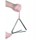 8029 Triangl
