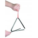8029 Triangl