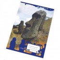 13507 Sešit A4 460 čistý