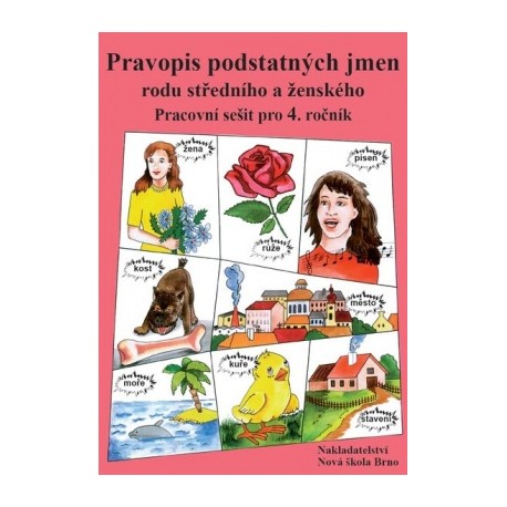 Pravopis podstatných jmen rodu ženského a středního