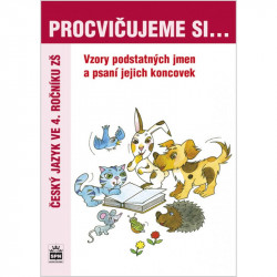 165734 Procvičujeme si vzory a psaní koncovek podstatných jmen pro 4. r. ZŠ