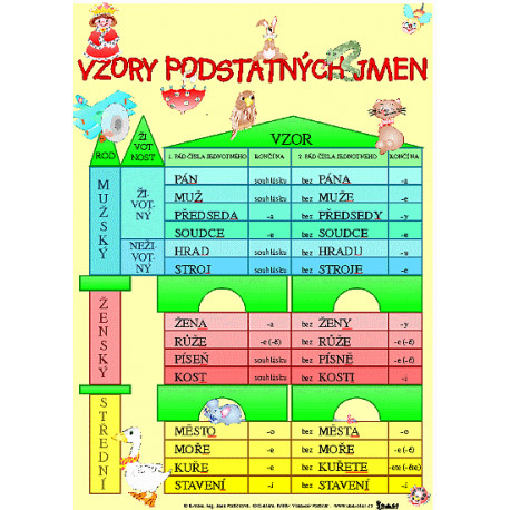 151404 Studio 1+1 - Vzory podstatných jmen, výukový obraz