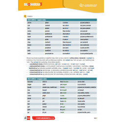 14163 Bloggers 3 (A2.1) – gramatický přehled (leporelo)