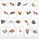 Třísložkové karty: Zvířata