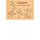 Geometrie 6 (pracovní sešit)